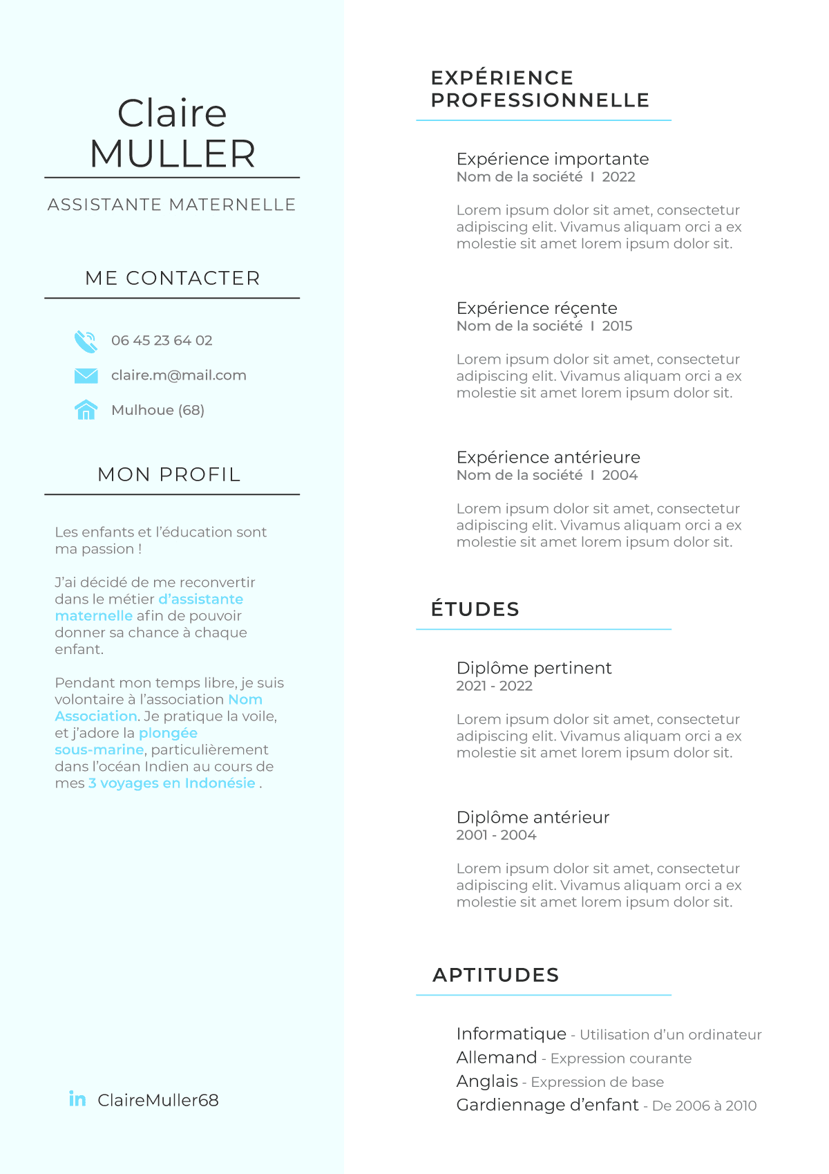cv simple et efficace